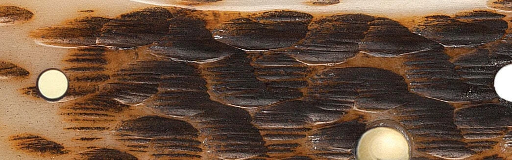 Case Amber Bone Peach Seed Jig (CS) Large Trapper Folder Knife #00163 - Image 5