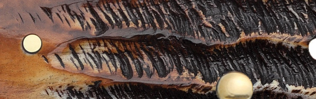 Case 6.5 BoneStag® Large Trapper (SS) Folder Knife #03573