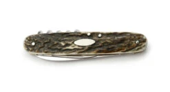 Puma Taschenmesser 421 Staghorn Folder Knife - 210421